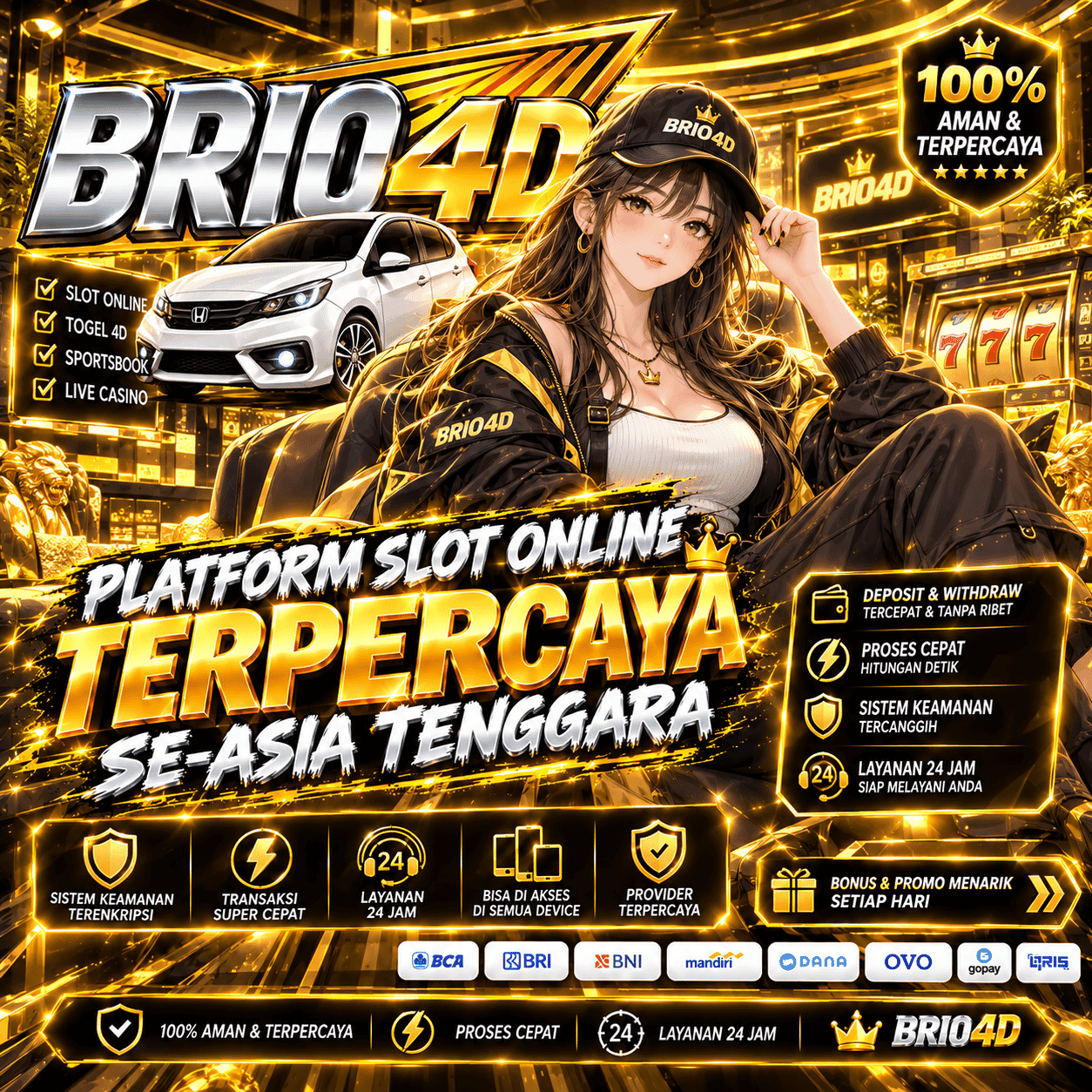 BRIO4D